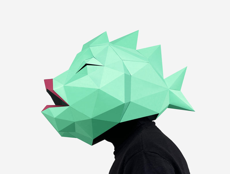 Fish Mask <br> DIY Paper Mask Template