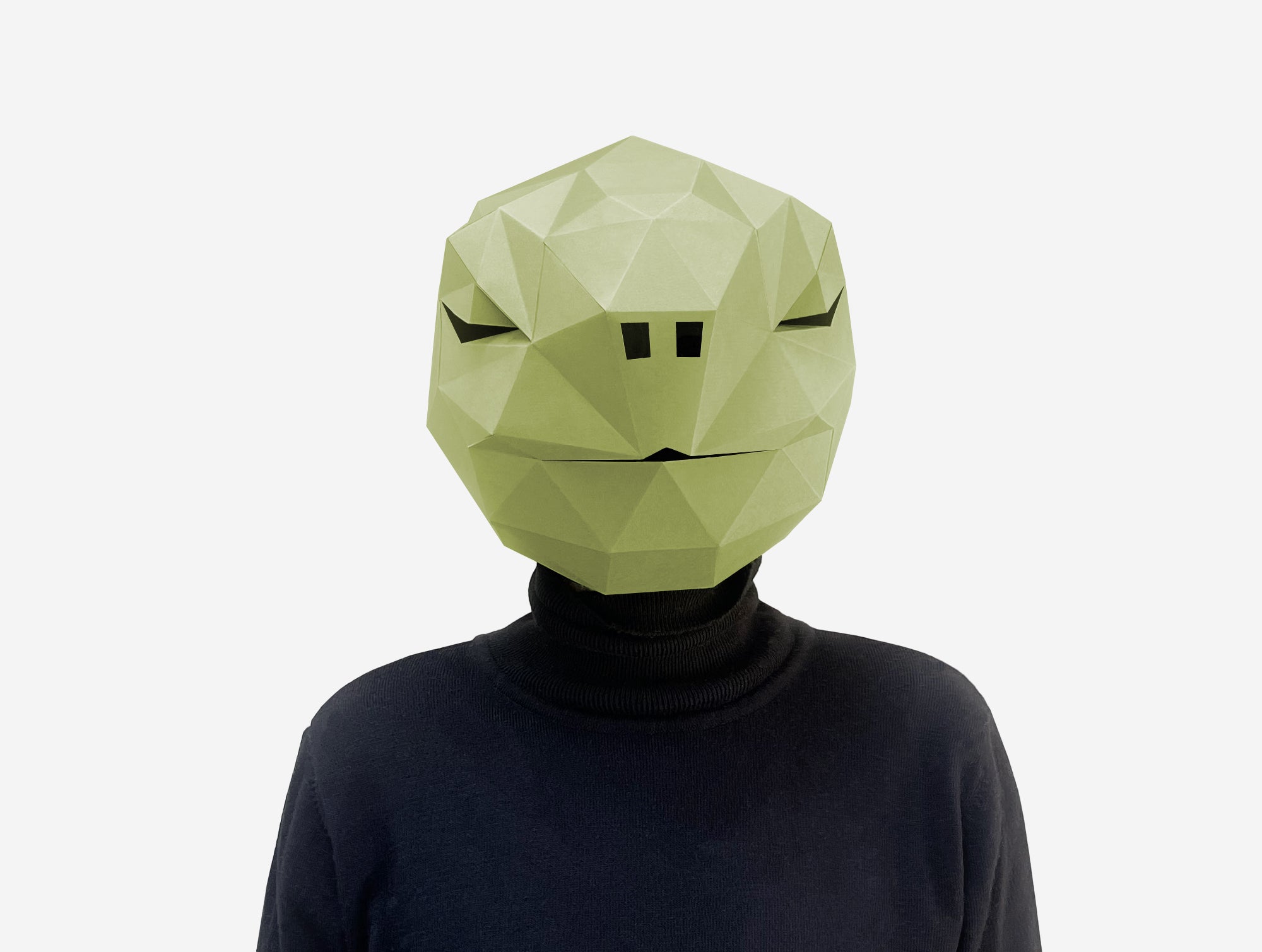 Turtle Mask DIY Paper Mask Template | Lapa Studios