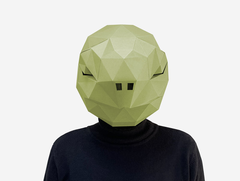 Turtle Mask <br> DIY Paper Mask Template