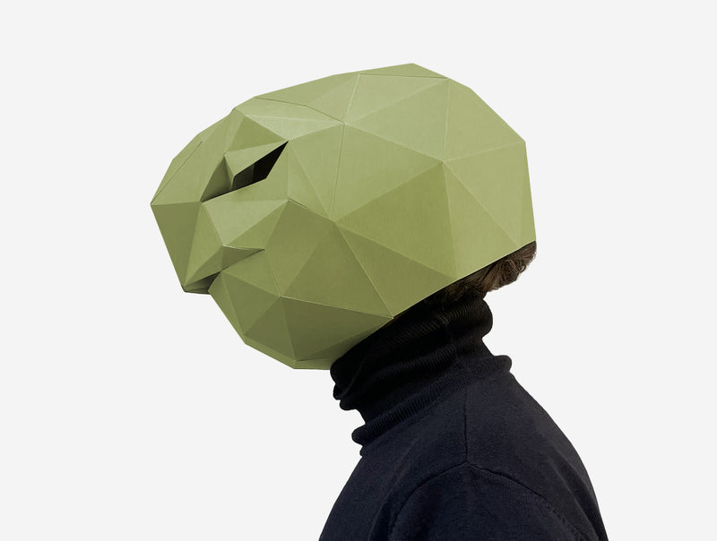 Turtle Mask <br> DIY Paper Mask Template