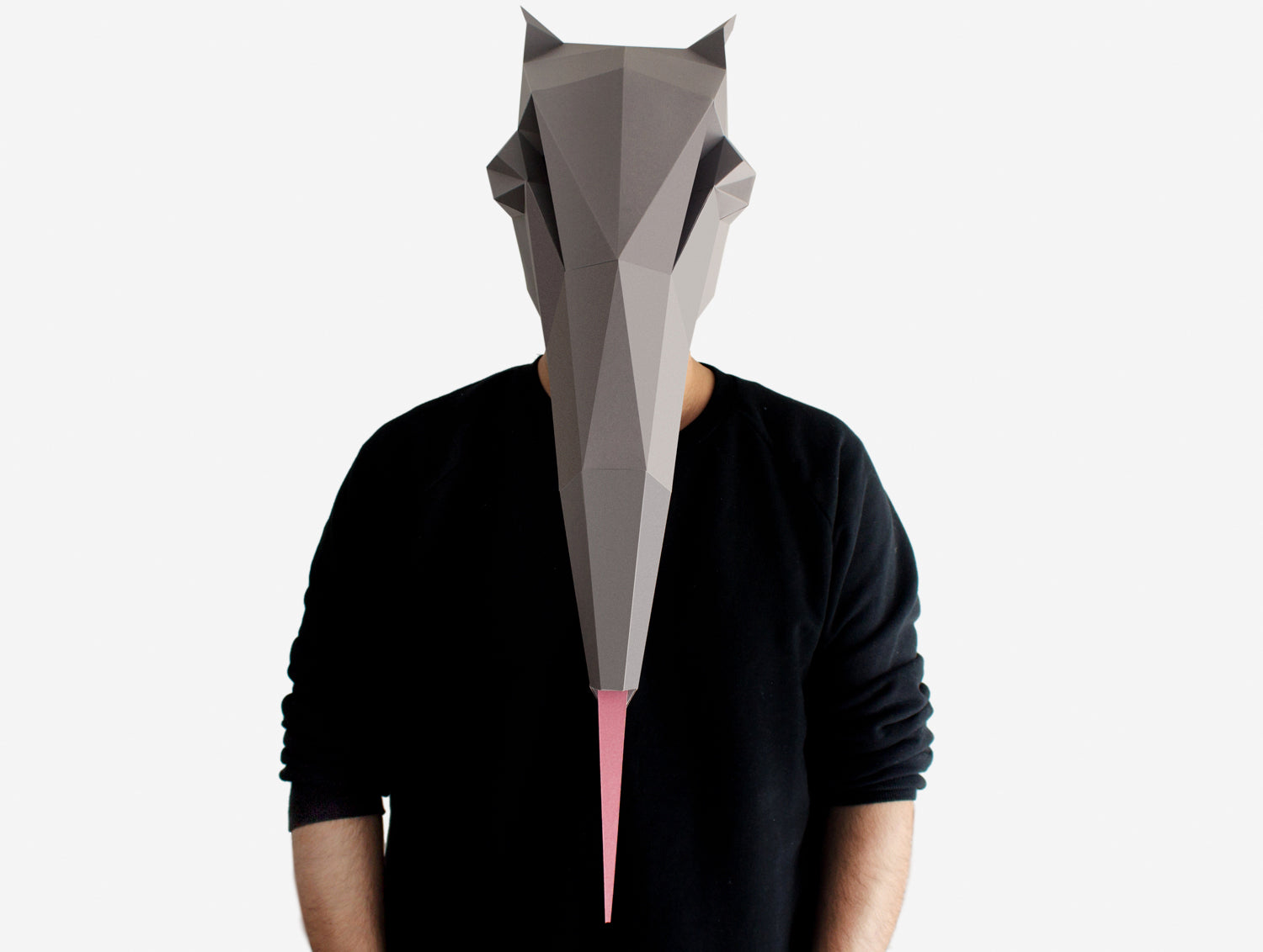 Anteater Mask DIY Paper Mask Template – Lapa Studios