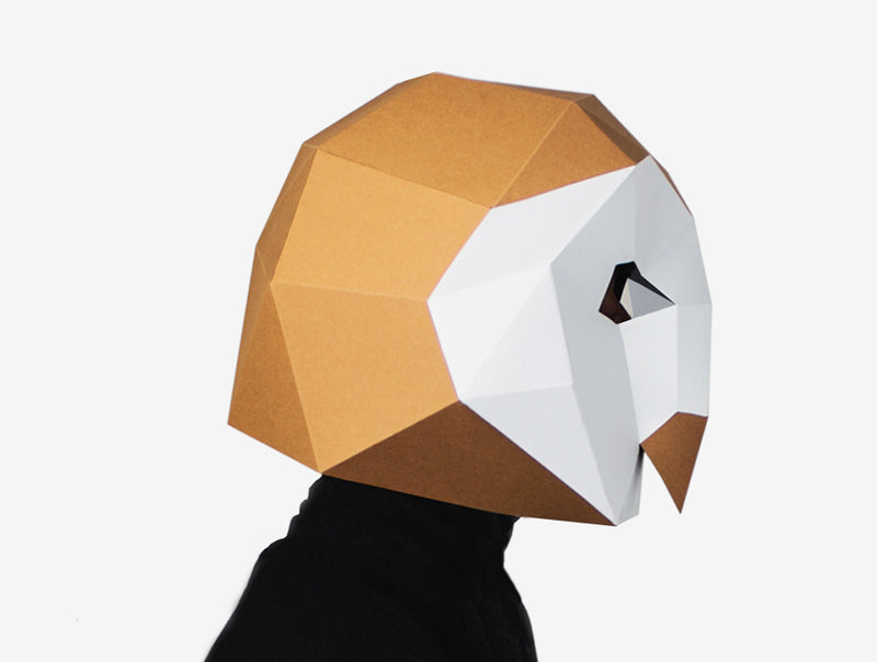 Barnowl Mask <br> DIY Paper Mask Template