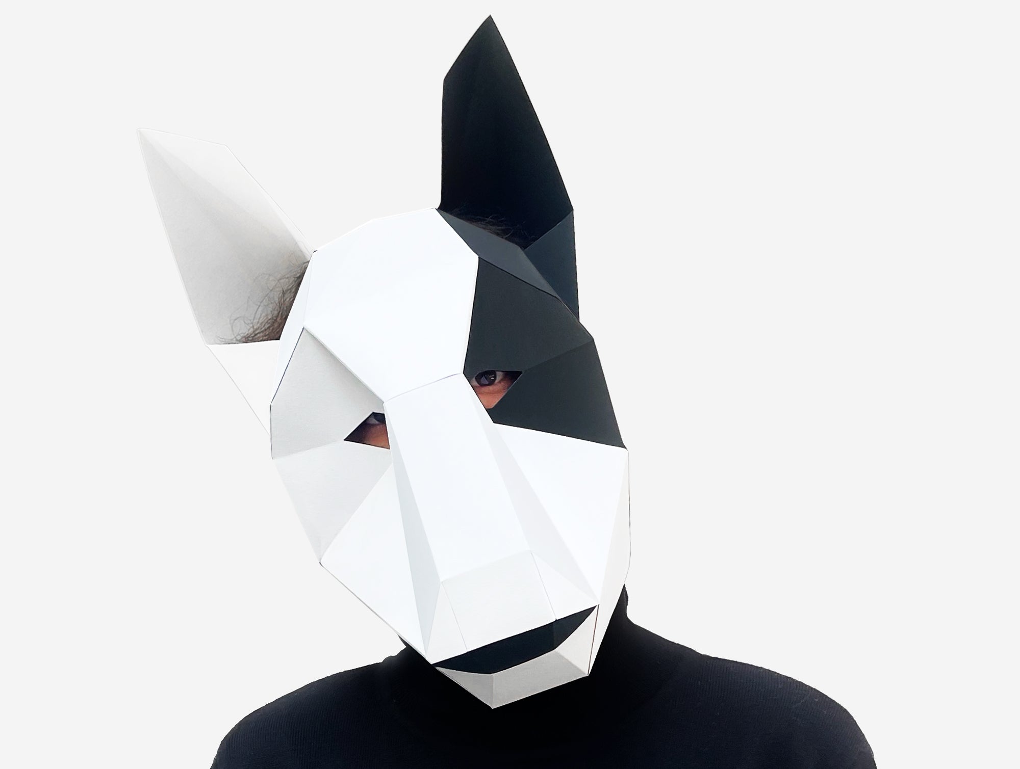 Bull Terrier Dog Mask DIY Paper Mask Template – Lapa Studios