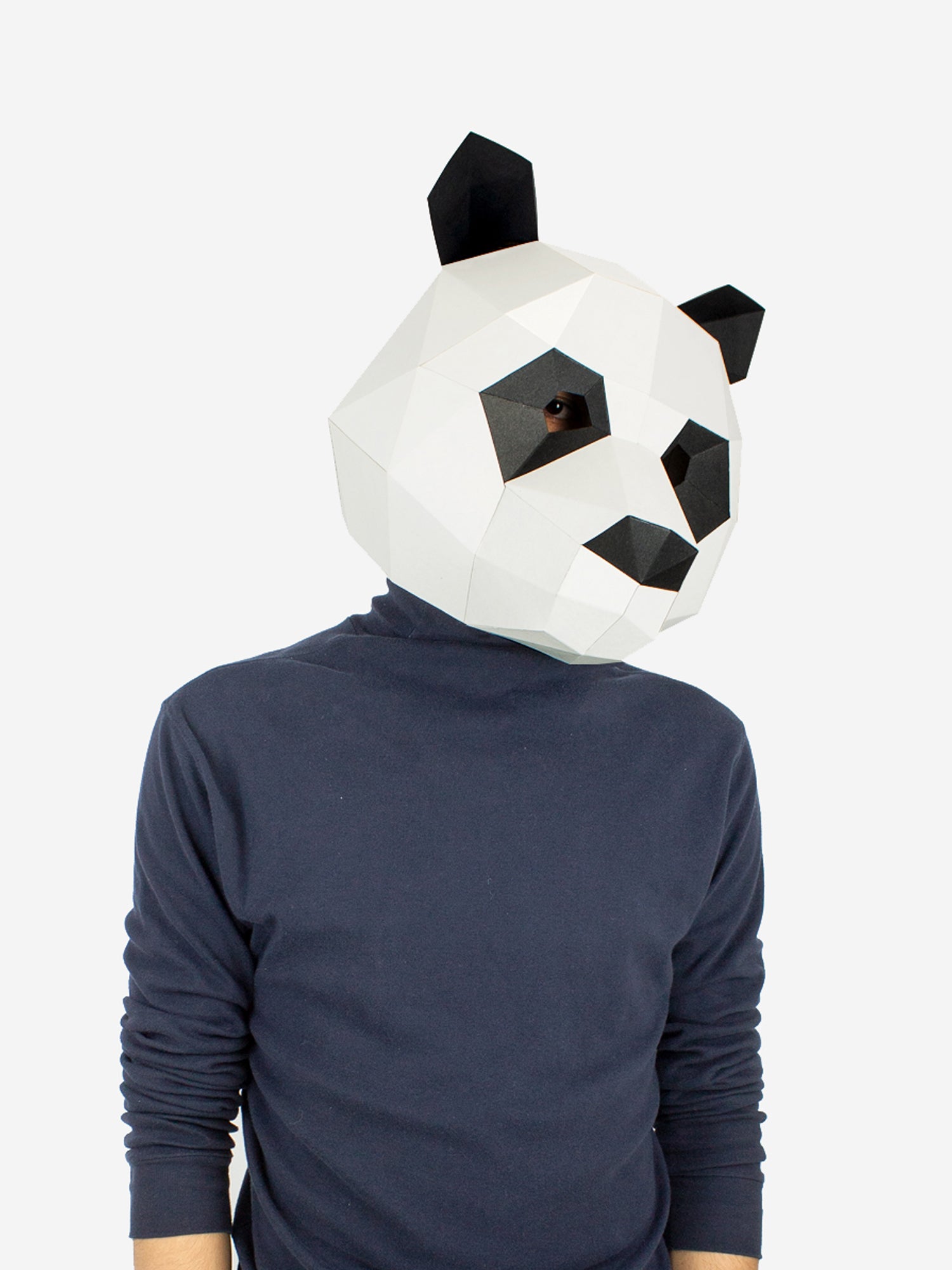 Panda Mask Paper Craft Kit – Lapa Studios