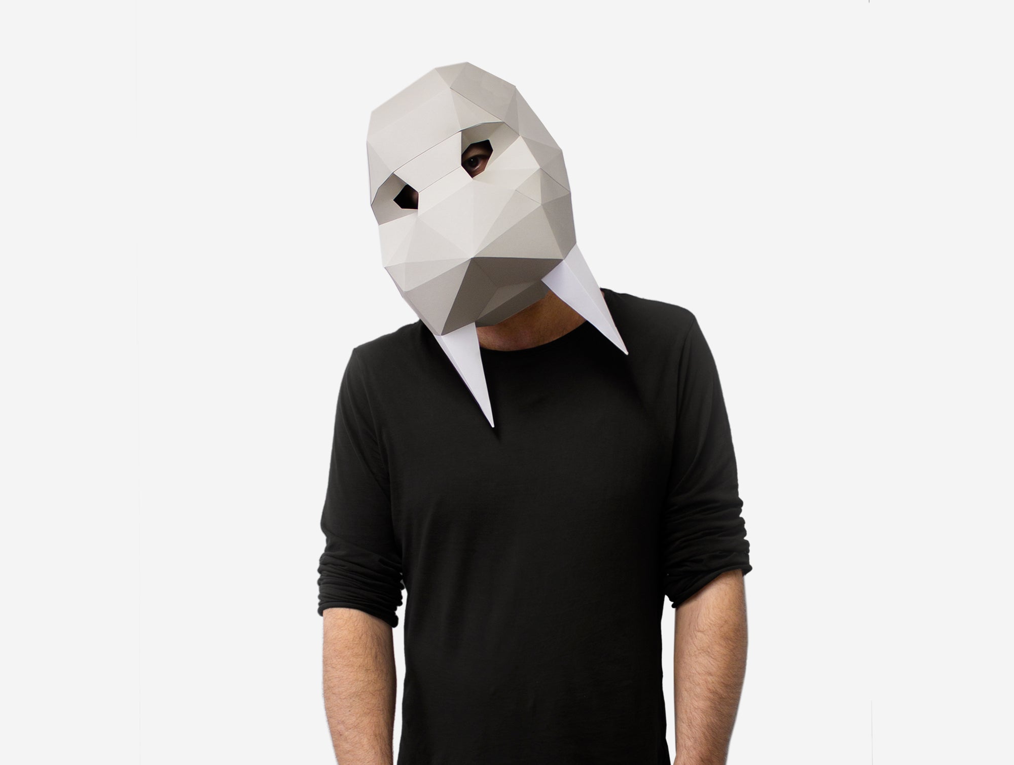 Walrus Mask Walrus Mask DIY Paper Mask Template – Lapa Studios