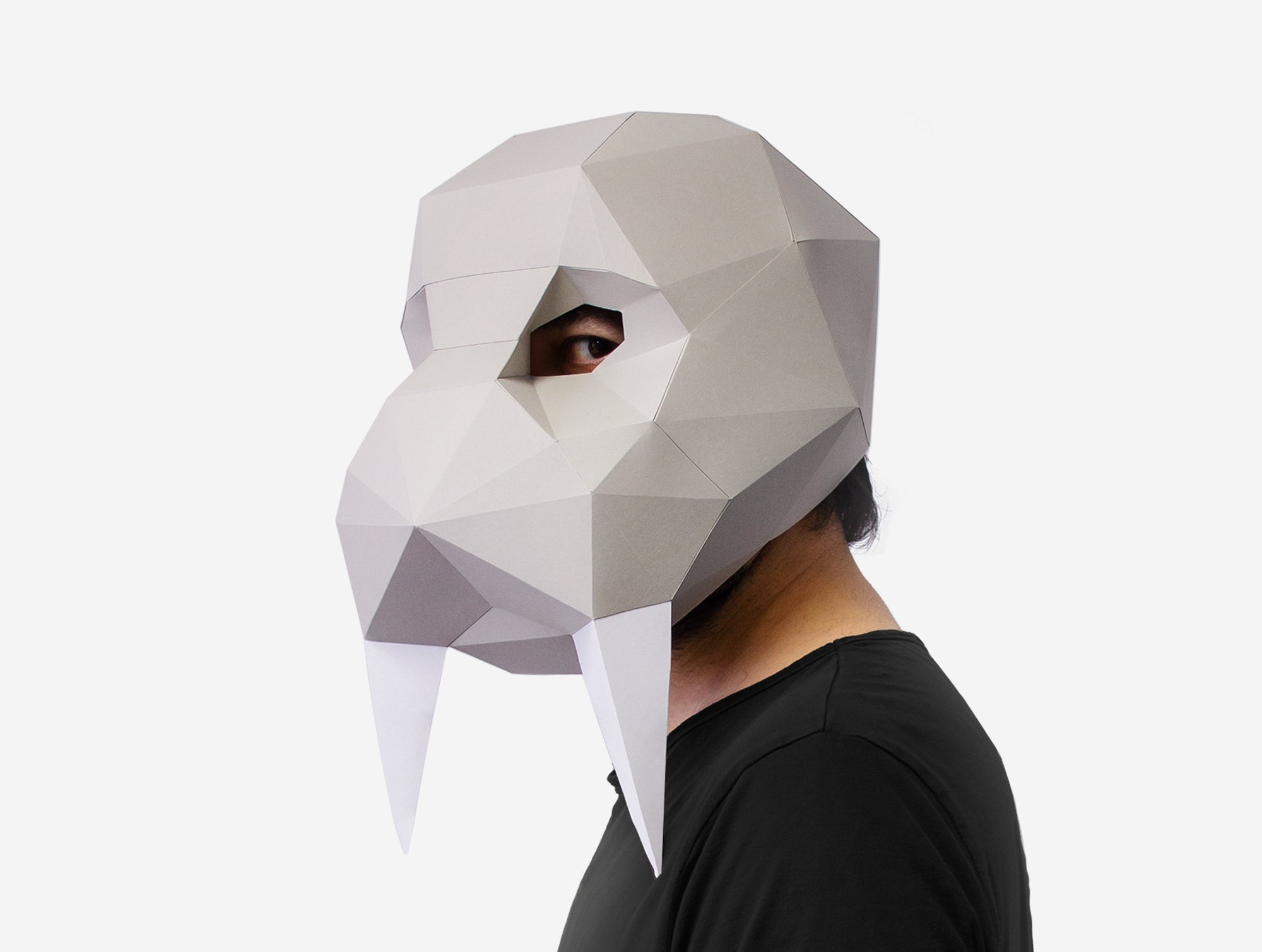 Walrus Mask Walrus Mask DIY Paper Mask Template – Lapa Studios